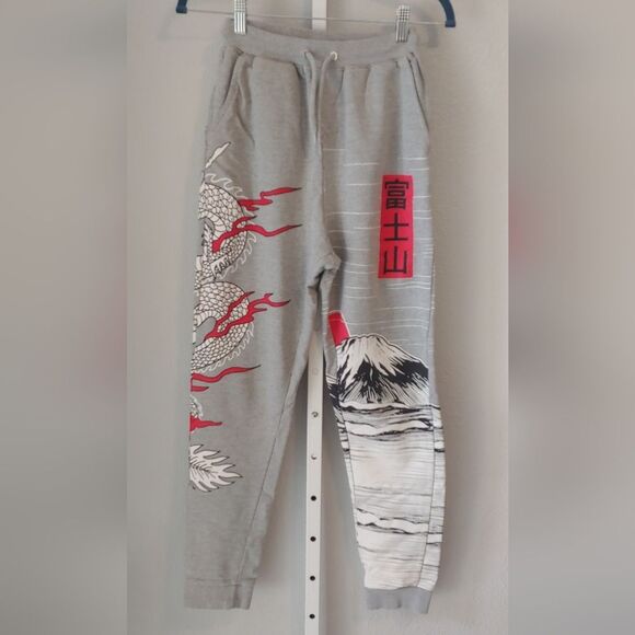 Fashion Nova Pants - Fashion Nova Gray Dragonbreath Sweats Sz XS